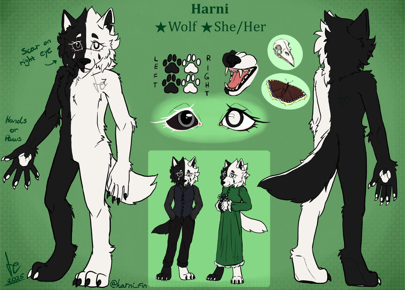 Fursona reference sheet