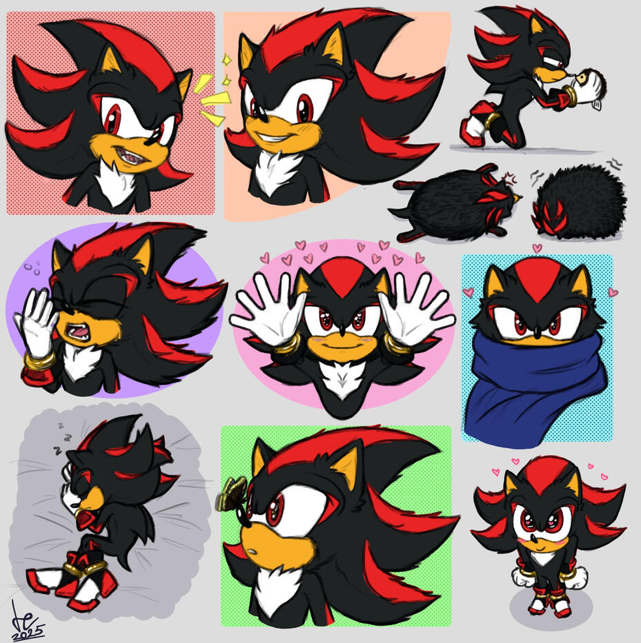 Shadow the Hedgehog