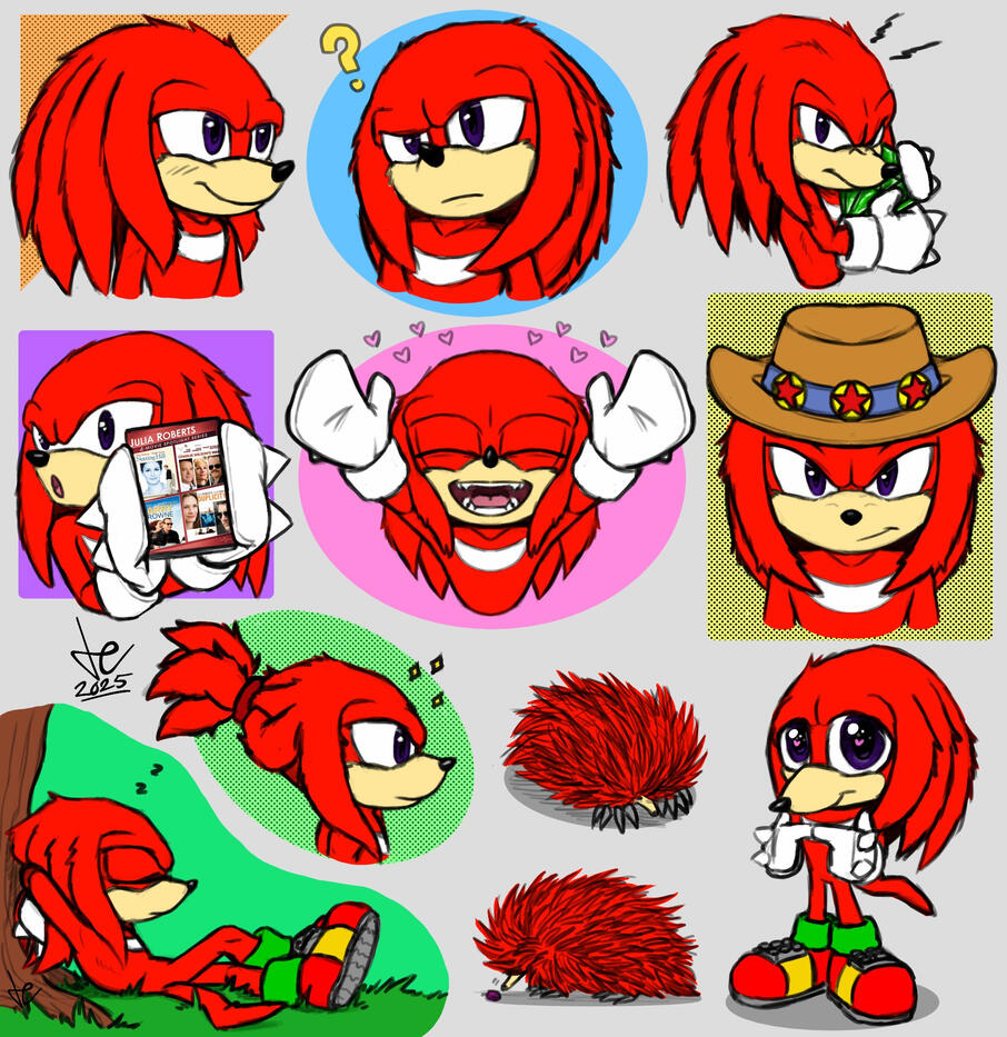 Knuckles the Echidna