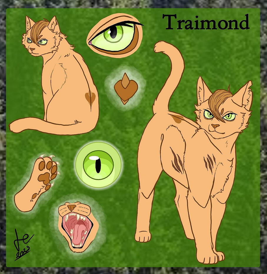 Traimond reference sheet (Original character)