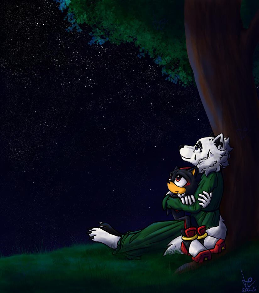 Under the Night Sky